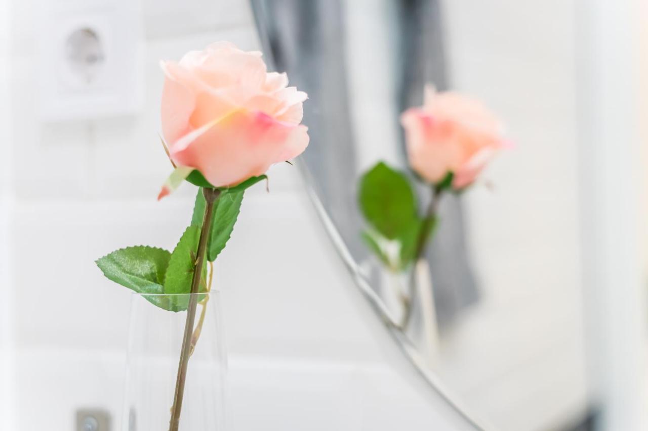 Cosy Studios In The Heart Of The City بودابست المظهر الخارجي الصورة