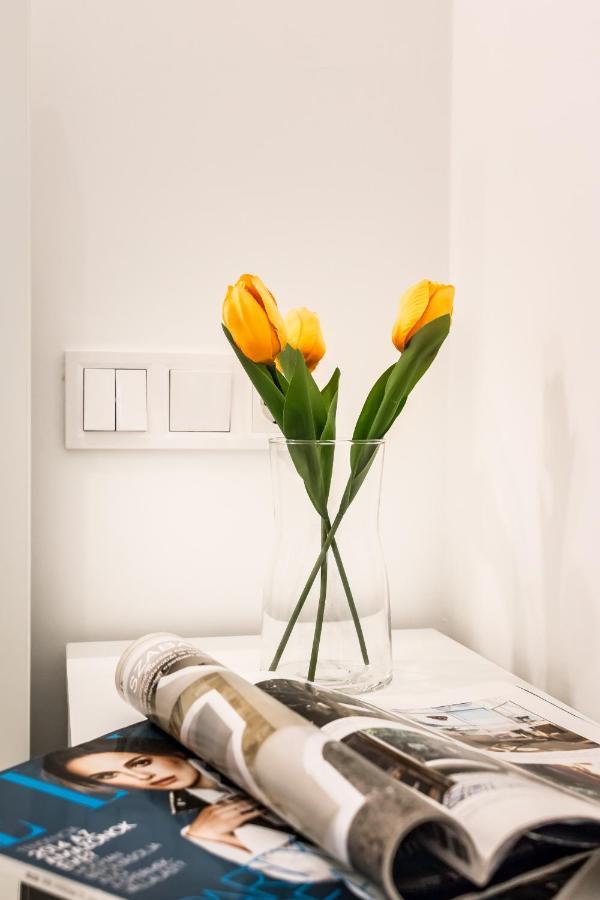 Cosy Studios In The Heart Of The City بودابست المظهر الخارجي الصورة