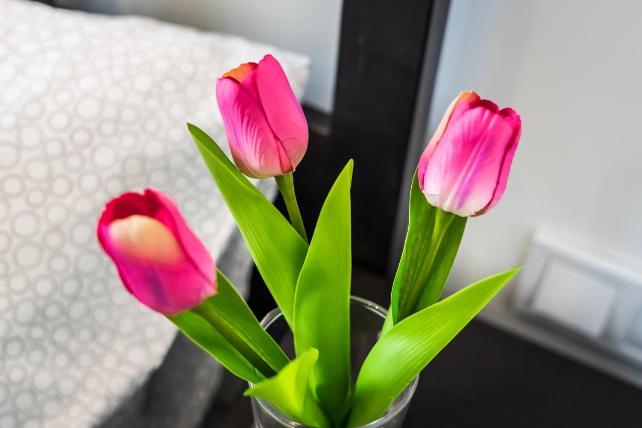 Cosy Studios In The Heart Of The City بودابست المظهر الخارجي الصورة